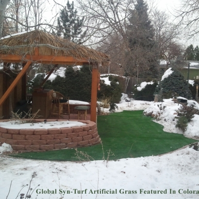 Artificial Turf Searchlight Nevada Landscape