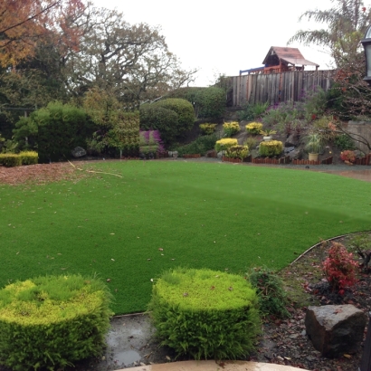 Artificial Turf Spring Valley Nevada Landscape