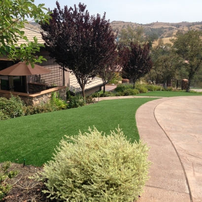 Artificial Turf Sunrise Manor Nevada Lawn