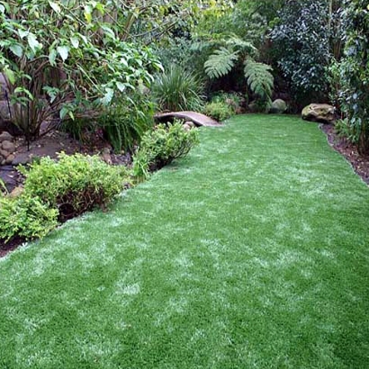 Artificial Turf Sunrise Manor Nevada Lawn