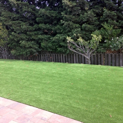 Artificial Turf Sunrise Manor Nevada Landscape