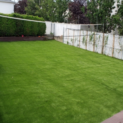 Artificial Turf Sunrise Manor Nevada Landscape