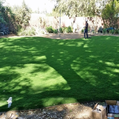 Artificial Turf Whitney Nevada Landscape