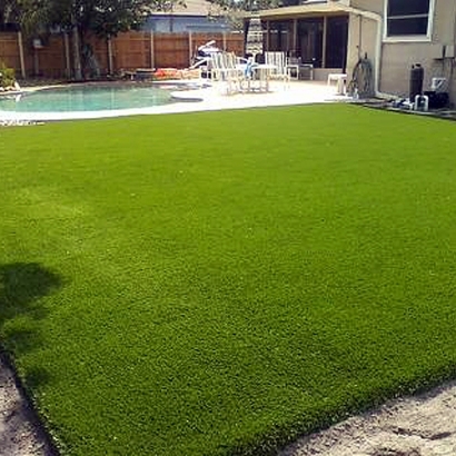 Artificial Turf Whitney Nevada Landscape