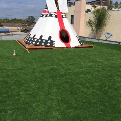 Artificial Turf Winchester Nevada Landscape