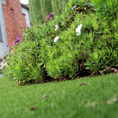 Fake Grass Blue Diamond Nevada Lawn