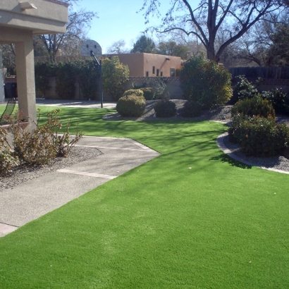 Fake Grass Boulder City Nevada Lawn