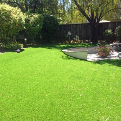 Fake Grass Boulder City Nevada Landscape