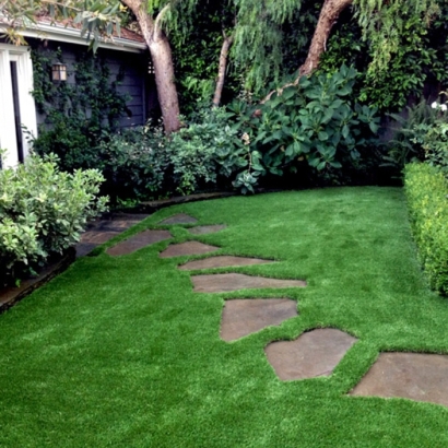 Fake Grass Enterprise Nevada Landscape
