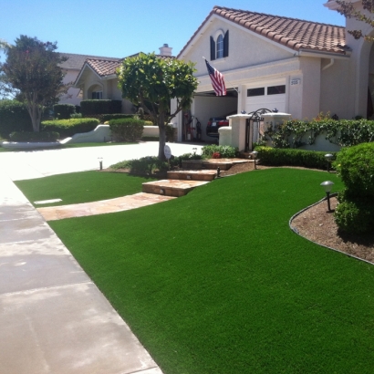 Fake Grass Goodsprings Nevada Lawn