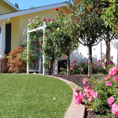 Fake Grass Goodsprings Nevada Lawn