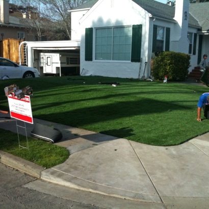 Fake Grass Goodsprings Nevada Lawn