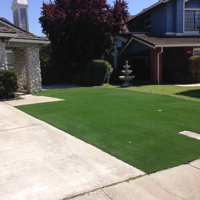 Fake Grass Henderson Nevada Landscape