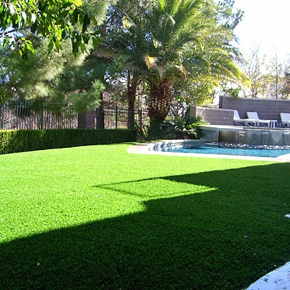 Fake Grass Henderson Nevada Landscape