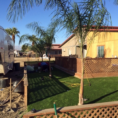 Fake Grass Moapa Town Nevada Lawn