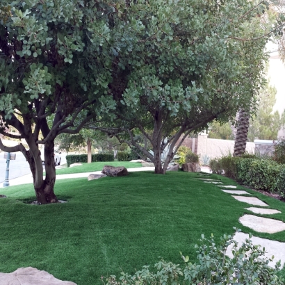 Fake Grass Moapa Town Nevada Landscape