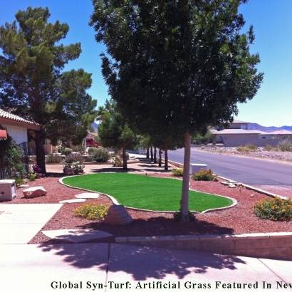 Fake Grass Nellis Air Force Base Nevada Landscape