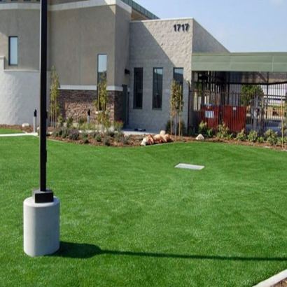 Fake Grass Nelson Nevada Lawn