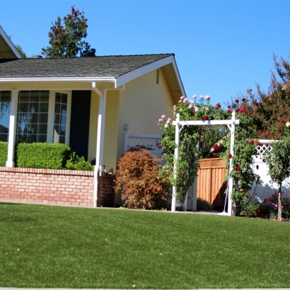 Fake Grass Paradise Nevada Lawn