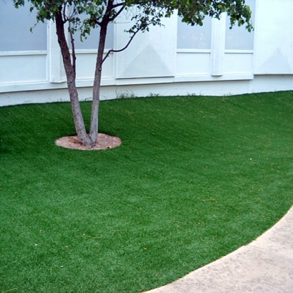 Fake Grass Paradise Nevada Lawn