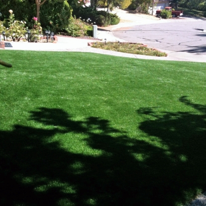 Fake Grass Sandy Valley Nevada Lawn