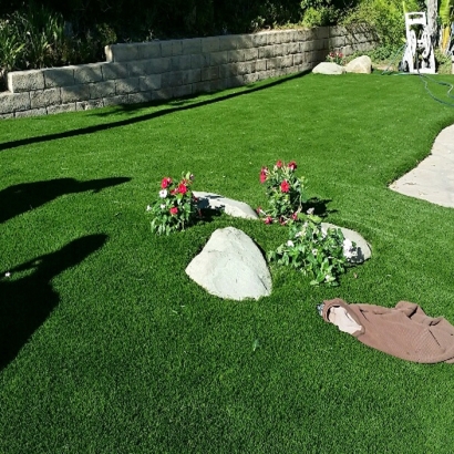 Fake Grass Searchlight Nevada Landscape