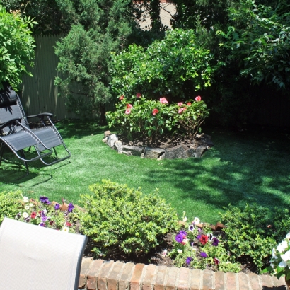 Fake Grass Searchlight Nevada Lawn