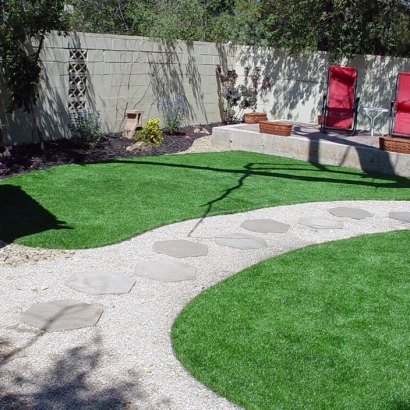 Fake Grass Spring Valley Nevada Lawn