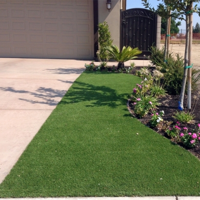 Fake Grass Summerlin South Nevada Landscape
