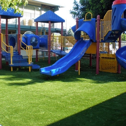 Fake Grass Winchester Nevada Childcare Facilities