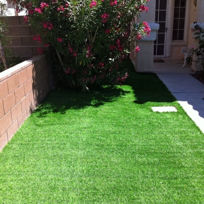 Fake Grass Winchester Nevada Landscape