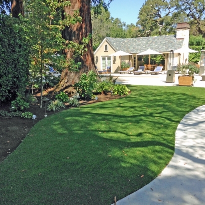 Fake Grass Winchester Nevada Landscape