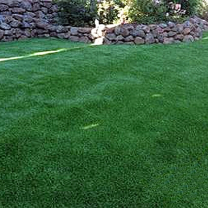 Fake Pet Turf Blue Diamond Nevada Installation