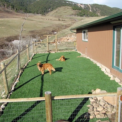 Fake Pet Turf Boulder City Nevada Installation