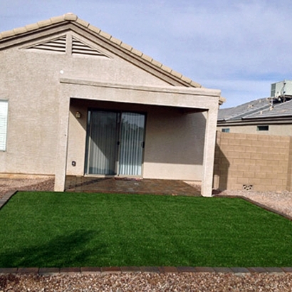 Fake Pet Turf Indian Springs Nevada for Dogs