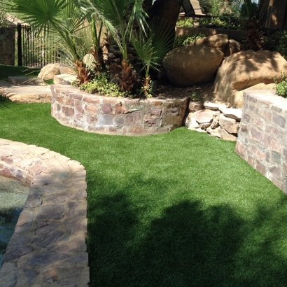 Fake Pet Turf Mount Charleston Nevada Installation