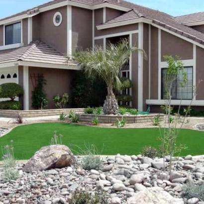 Fake Turf Enterprise Nevada Landscape