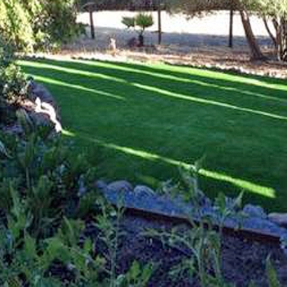 Fake Turf Goodsprings Nevada Lawn