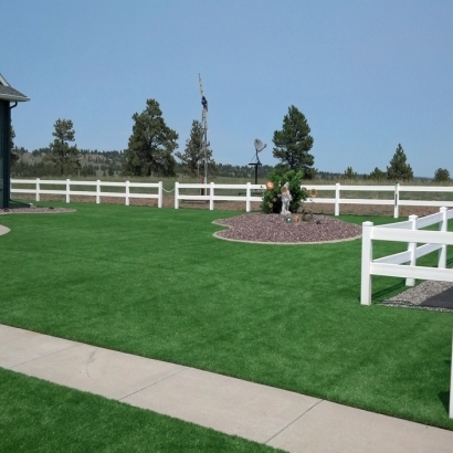 Fake Turf Indian Springs Nevada Lawn