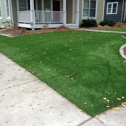 Fake Turf Mount Charleston Nevada Lawn