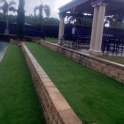 Fake Turf Mount Charleston Nevada Lawn