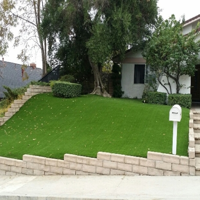 Fake Turf Pahrump Nevada Landscape