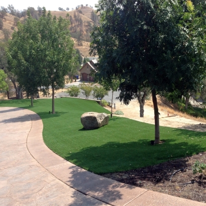 Fake Turf Paradise Nevada Landscape