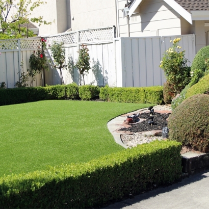 Fake Turf Spring Valley Nevada Lawn