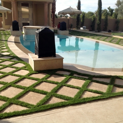Fake Turf Spring Valley Nevada Landscape