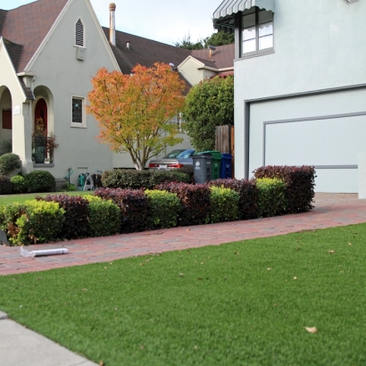 Fake Turf Winchester Nevada Lawn
