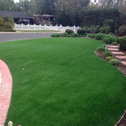 Fake Turf Winchester Nevada Lawn