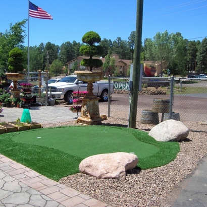 Golf Putting Greens Enterprise Nevada Synthetic Grass