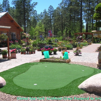 Golf Putting Greens Winchester Nevada Artificial Turf