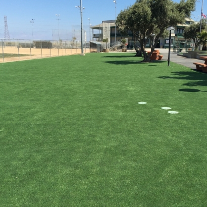 Grass Carpet Lund, Nevada Home And Garden, Recreational Areas